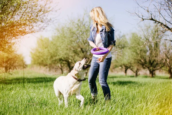 Sarışın bir labrador ile oynuyor.