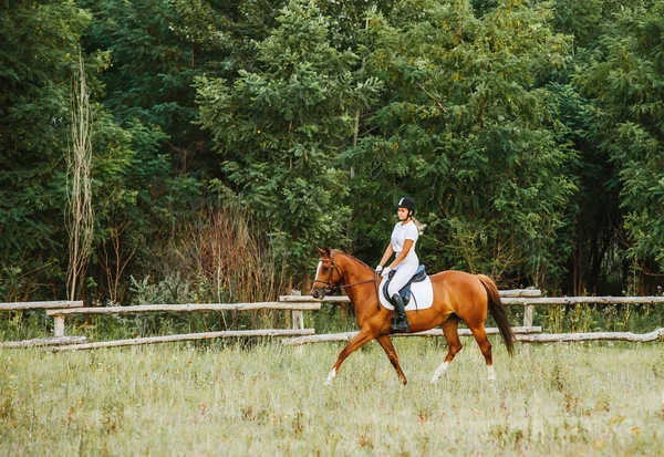 Chica jinete montando un caballo — Foto de Stock