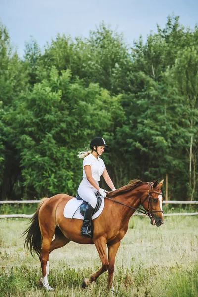 Chica jinete montando un caballo — Foto de Stock