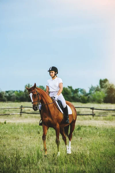 Chica jinete montando un caballo — Foto de Stock