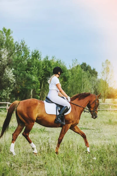 Chica jinete montando un caballo — Foto de Stock