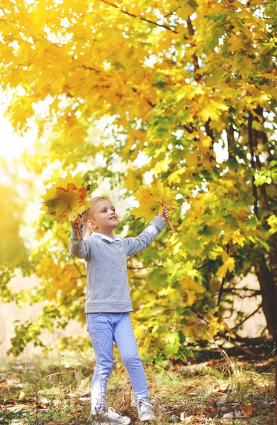 Menina brincando com folhas amarelas no parque de outono — Fotografia de Stock