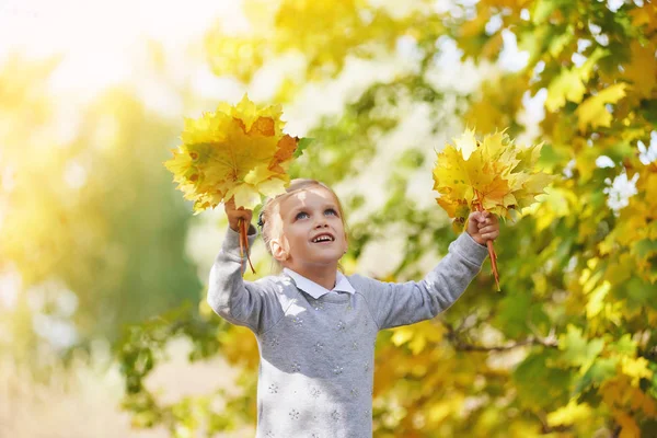 Маленька дівчинка грає з жовтим листям в осінньому парку — стокове фото