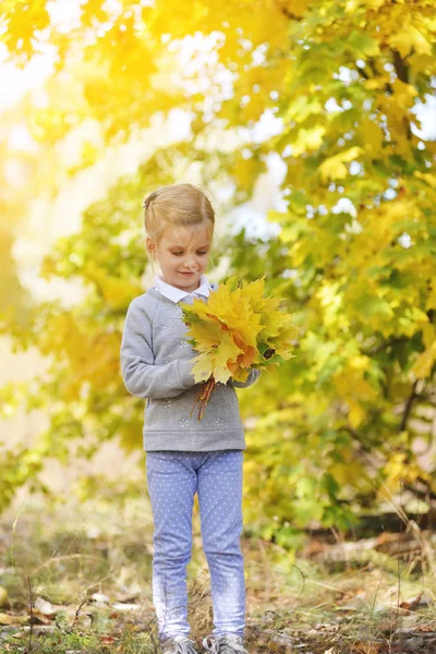 Menina brincando com folhas amarelas no parque de outono — Fotografia de Stock