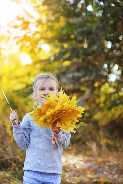 Menina brincando com folhas amarelas no parque de outono — Fotografia de Stock