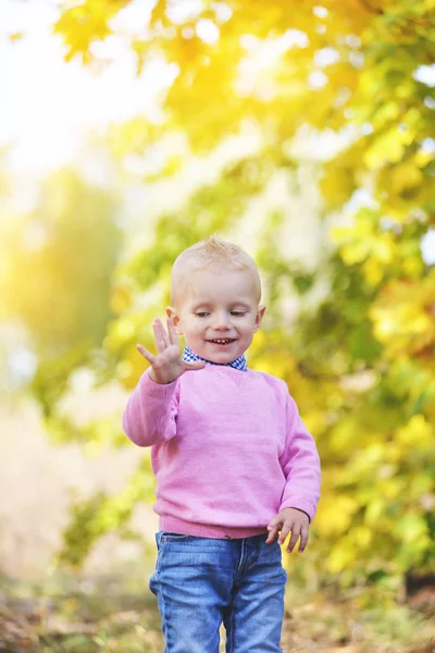 Criança alegre fica perto de bordo amarelo no parque de outono — Fotografia de Stock