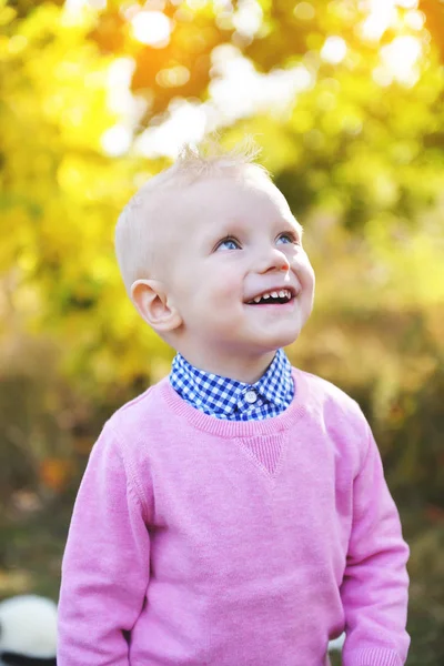 Neşeli çocuk sarı akçaağaç sonbahar Park yakınında standları