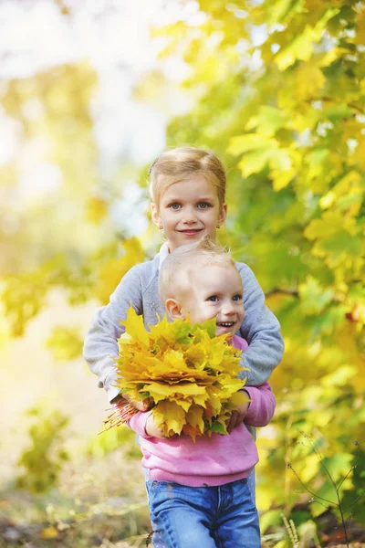 Веселий маленький брат і сестра стоять в парку восени — стокове фото