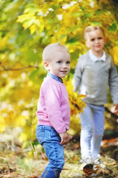 Веселий маленький брат і сестра стоять в парку восени — стокове фото