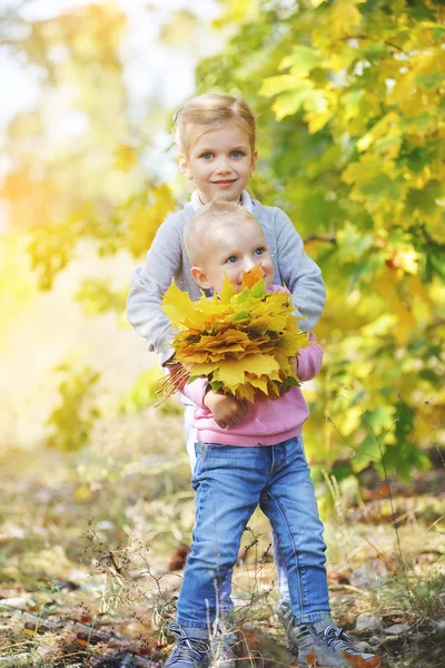 性格开朗的小弟弟和妹妹在公园里站在秋天里 — 图库照片