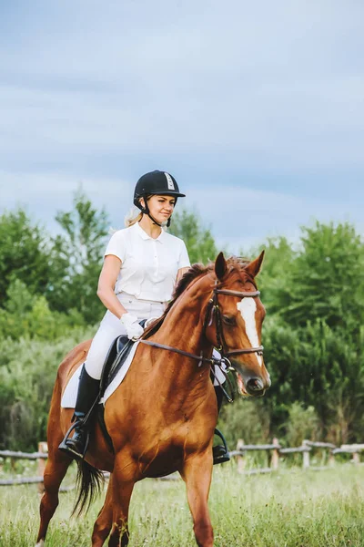 Chica jinete montando un caballo — Foto de Stock