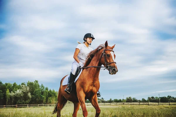 Menina jockey montando um cavalo — Fotografia de Stock