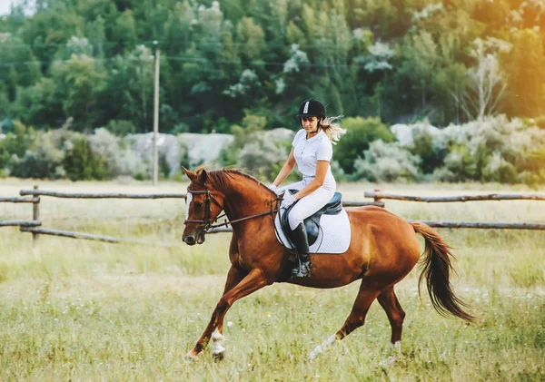 Chica jinete montando un caballo —  Fotos de Stock