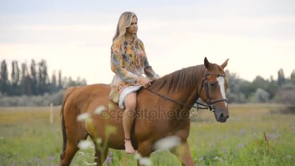 Young woman riding a horse in summer — Stock Video