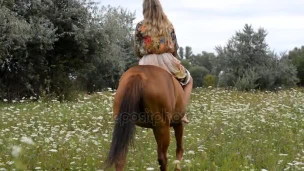 Jovem mulher montando um cavalo no verão — Vídeo de Stock