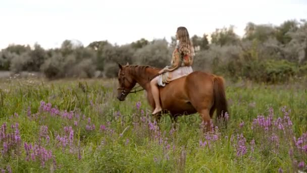 Mujer joven montando a caballo en verano — Vídeos de Stock