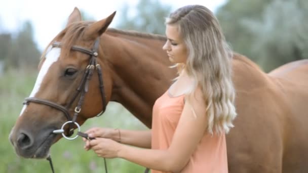 En ung kvinna står nära en häst och linjer det. — Stockvideo