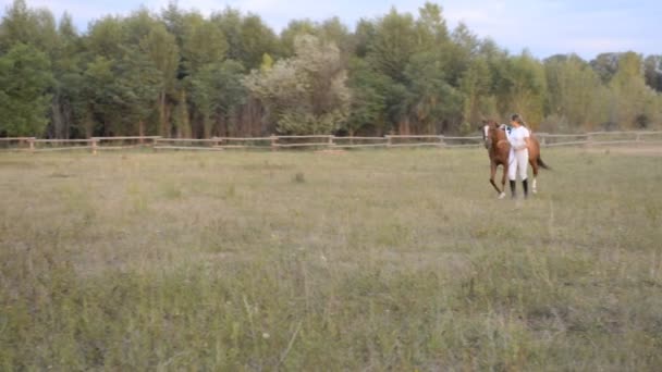 Egy fiatal nő zsoké vezet lovát a mezőn. — Stock videók