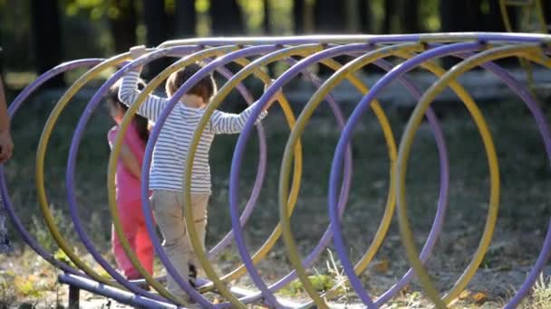 Barnen leker i parken i höst. — Stockvideo