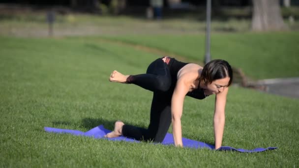 Una joven está practicando yoga en un parque en la mañana de otoño. . — Vídeos de Stock