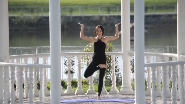 Eine junge Yogafrau praktiziert Yoga im Park im Sommerhaus im Sommerhaus. — Stockvideo