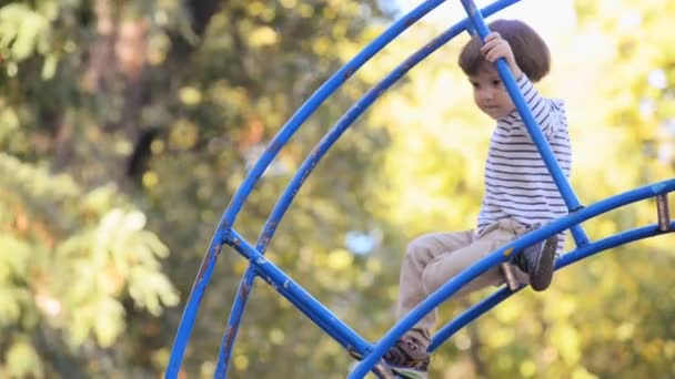 Niño pequeño está jugando en una escalera de niños en un parque de otoño — Vídeos de Stock