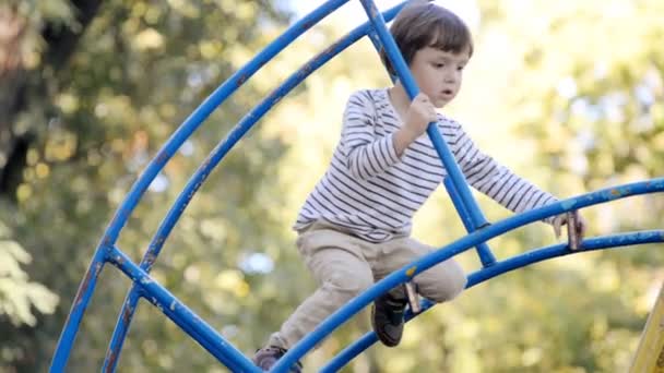 Мальчик играет на детской лестнице в осеннем парке — стоковое видео