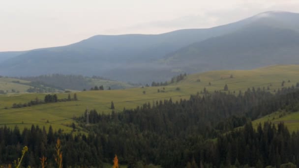 Paisaje nocturno de montaña en los Cárpatos — Vídeos de Stock