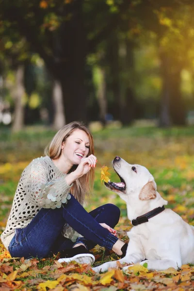 Blondynka bawi się jej labrador w jesienny park — Zdjęcie stockowe