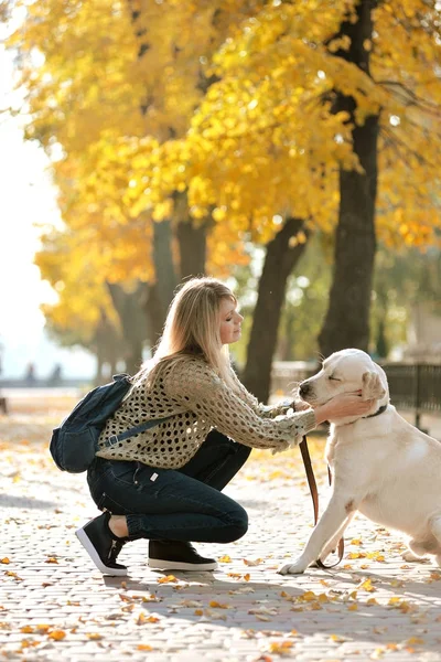 Blondin leker med hennes labrador i höst park — Stockfoto