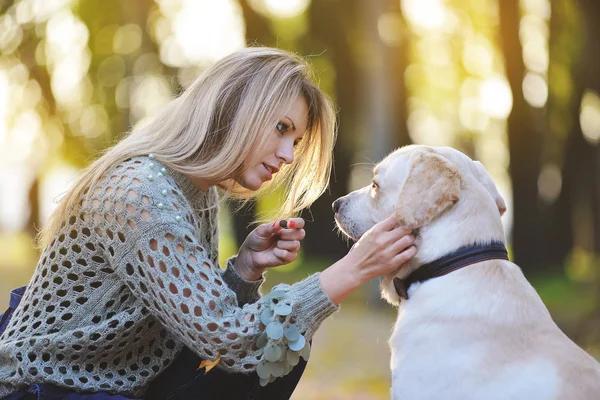 Blondynka bawi się jej labrador w jesienny park — Zdjęcie stockowe