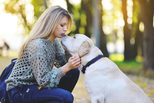 Blondin leker med hennes labrador i höst park — Stockfoto