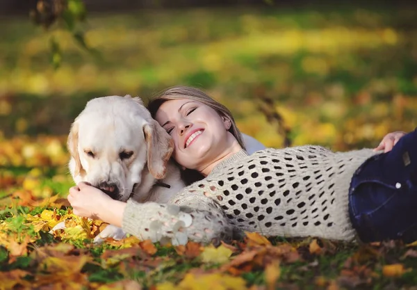 Blondinen ligger i gula blad med hennes labrador i parken i höst — Stockfoto
