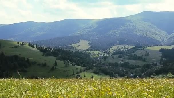 Verão paisagem montanhosa Alpes — Vídeo de Stock