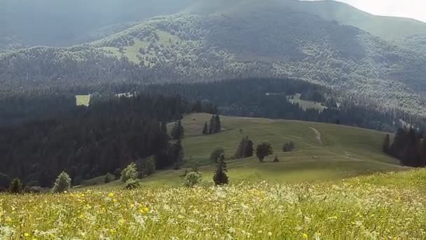 夏季山景阿尔卑斯山 — 图库视频影像
