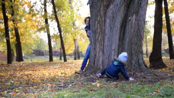 ママと彼の幼い息子が公園で遊んでいます。. — ストック動画