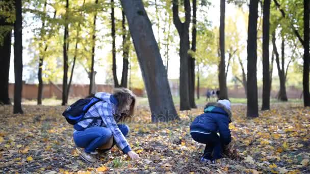 Moeder en zijn zoontje spelen in het park. — Stockvideo