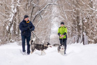 Baba ve oğul kışın köpeklerle parkta yürüyorlar..