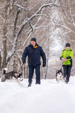 Baba ve oğul kışın köpeklerle parkta yürüyorlar..