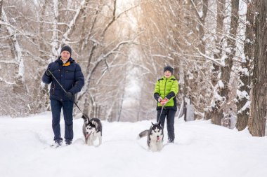Baba ve oğul kışın köpeklerle parkta yürüyorlar..