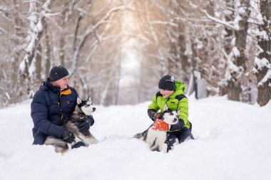 Baba ve oğul kışın köpeklerle parkta yürüyorlar..