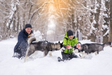 Baba ve oğul kışın köpeklerle parkta yürüyorlar..