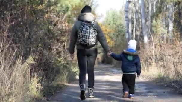 秋の森の中の母と彼女の子供が歩いています。. — ストック動画