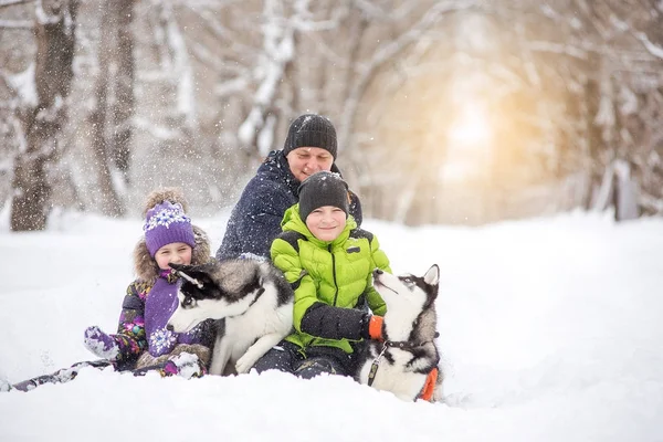 Vader met twee kinderen, dochter en zoon en twee Husky puppies voor een wandeling in het park in de winter. — Stockfoto