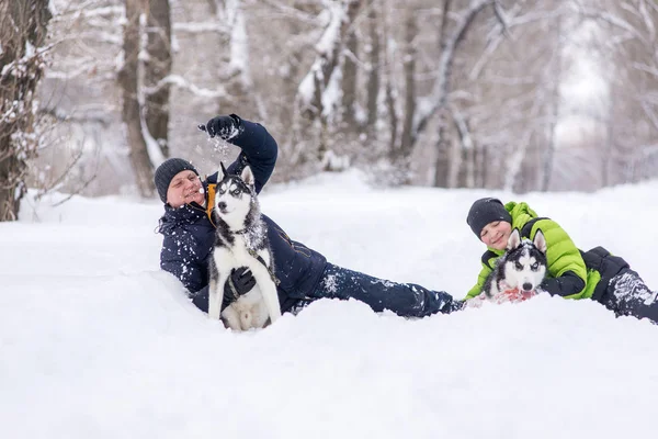 The father and son are walking with the husky dogs in the park in the winter.