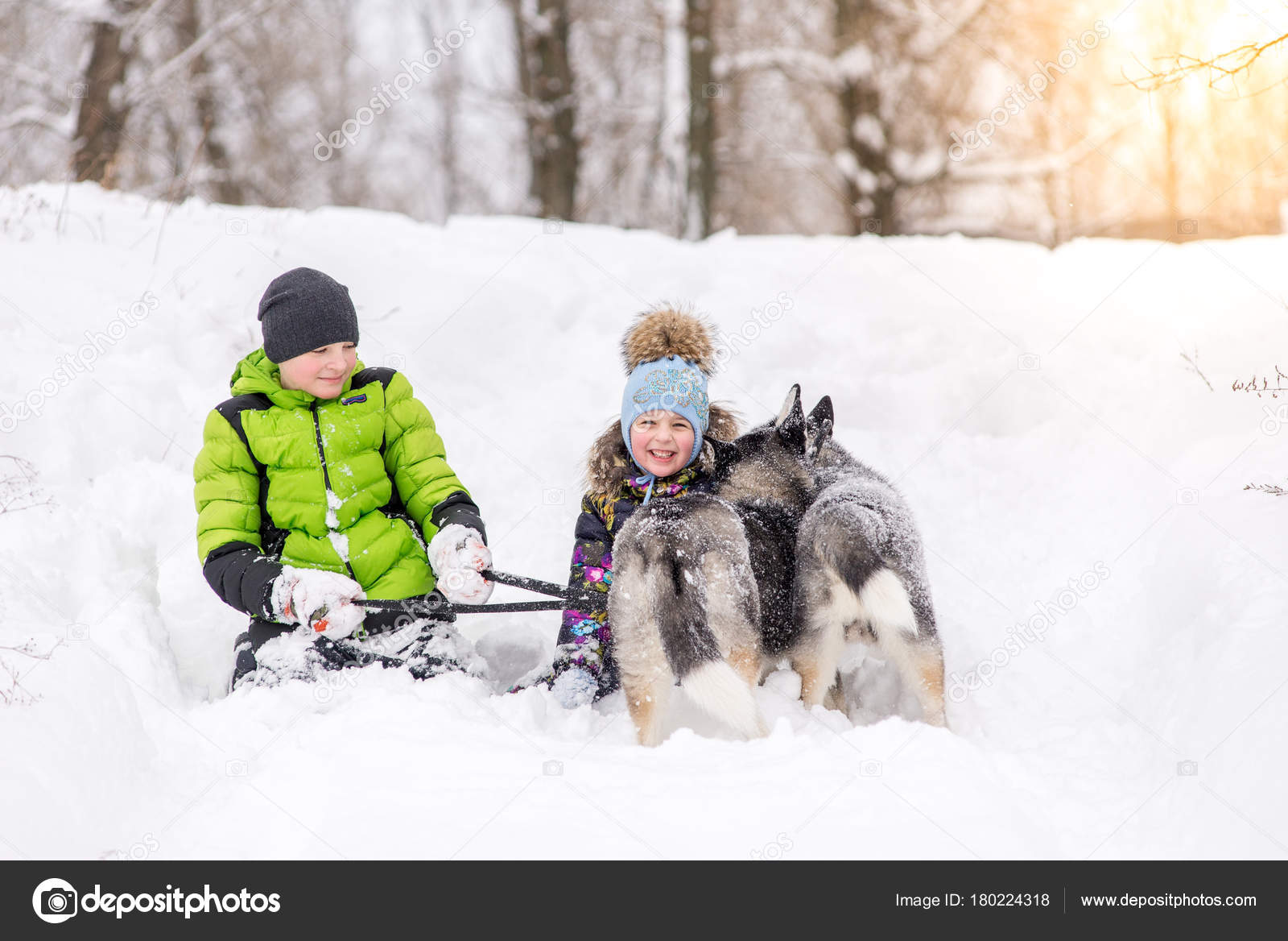 Children Brother And Sister Playing With The Husky Pups In The Park In The Winter In The Snow Stock Photo C Serg0403 180224318