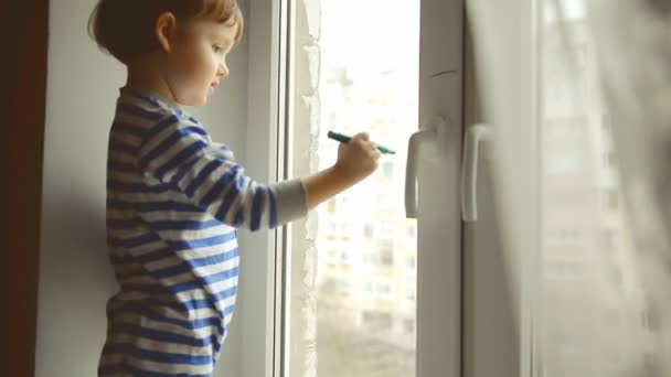 Little Boy Draws Marker Hands Feet Window — Stock Video