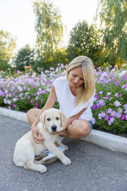 Bir köpek yavrusu labrador ile oynarken güzel kız.