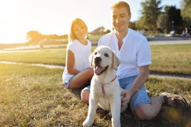 kadınla çimenlerin üzerinde bir parkta bir labrador köpek yavrusu ile baharda oynarken bir adam.
