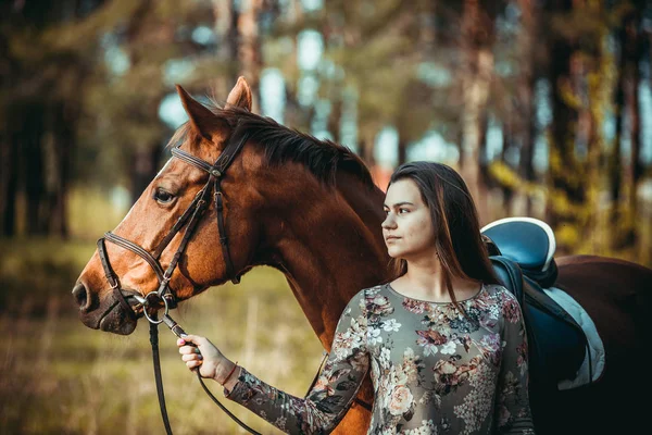 Chica con un caballo — Foto de Stock